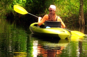 kayaking in scenic are Everglades Aventure Tours