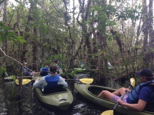 Everglades Adventure Tours Kayak Tour