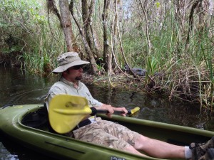 kayak through red mangroves