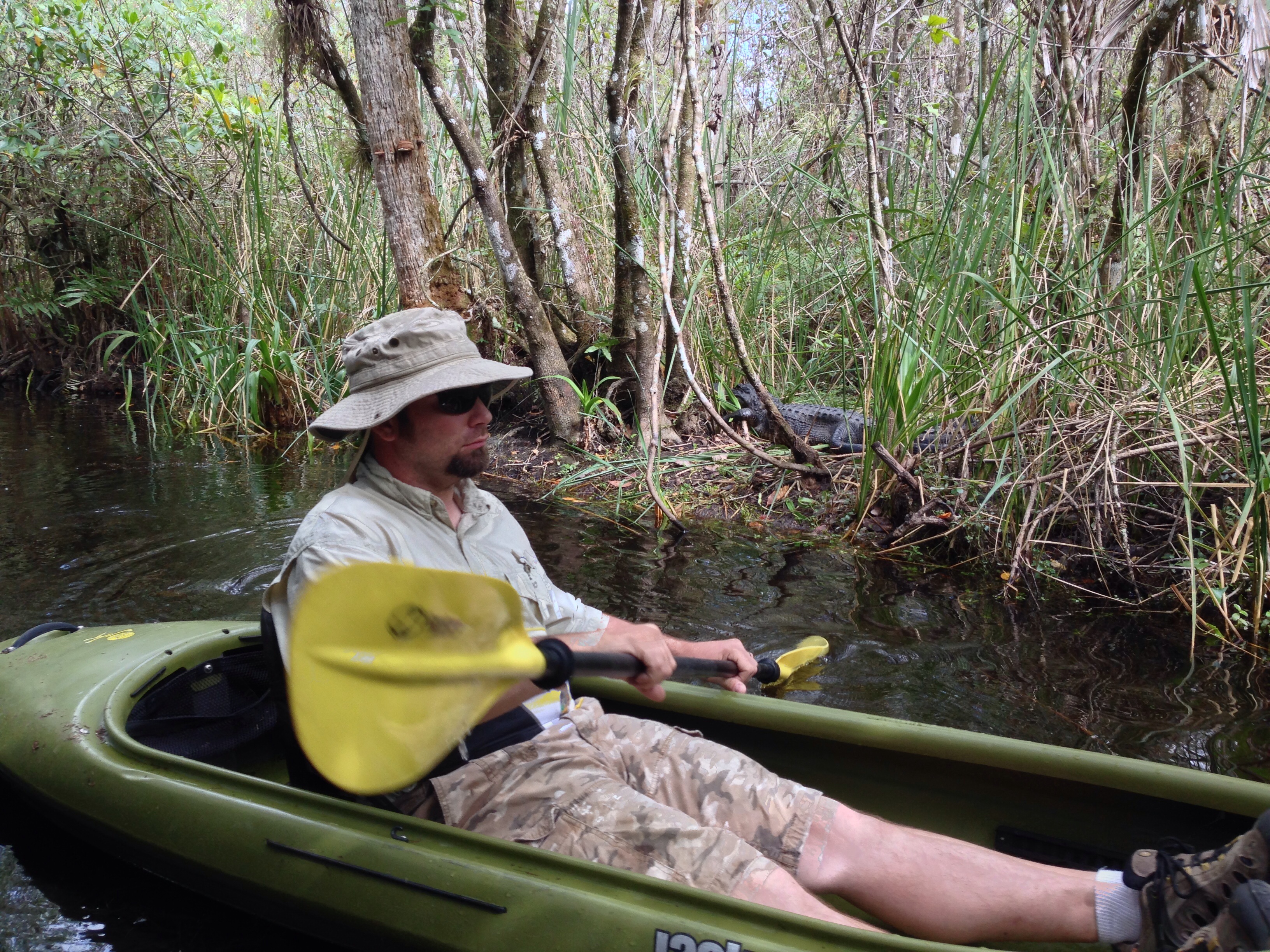kayaking in the everglades