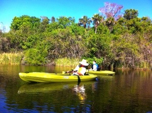 kayak safari in the Florida Everglades