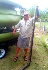 python captured Florida Everglades