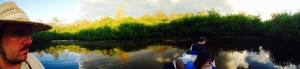 Florida Everglades pole boat tour