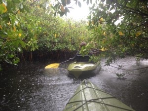 kayak in the Florida Everglades