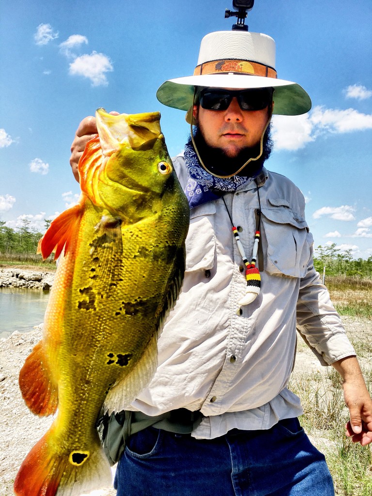 Everglades Tours Eco Tours Everglades Adventure Tours Florida Everglades Tours Eco Tours Everglades Adventure Tours Florida